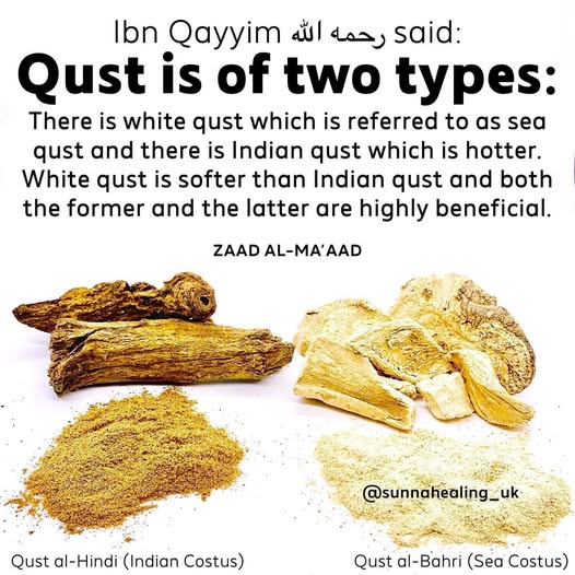 Qust