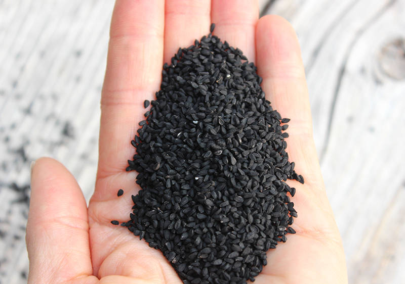 Black Seed